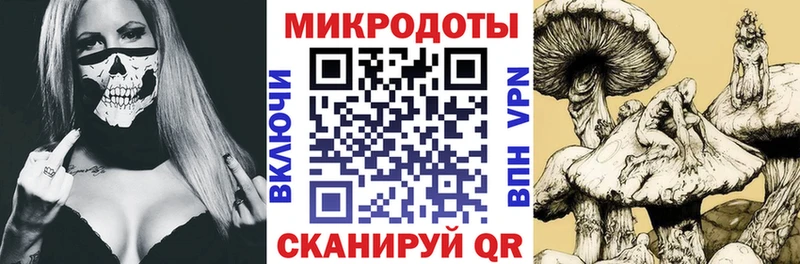 Псилоцибиновые грибы Psilocybe  Купить закладки  Черемхово 